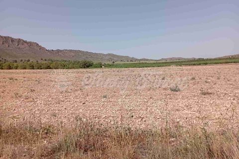 Helårsgrund i Yecla, Murcia, Yecla - € 39.000 | Ref: SF0472 - foto 6